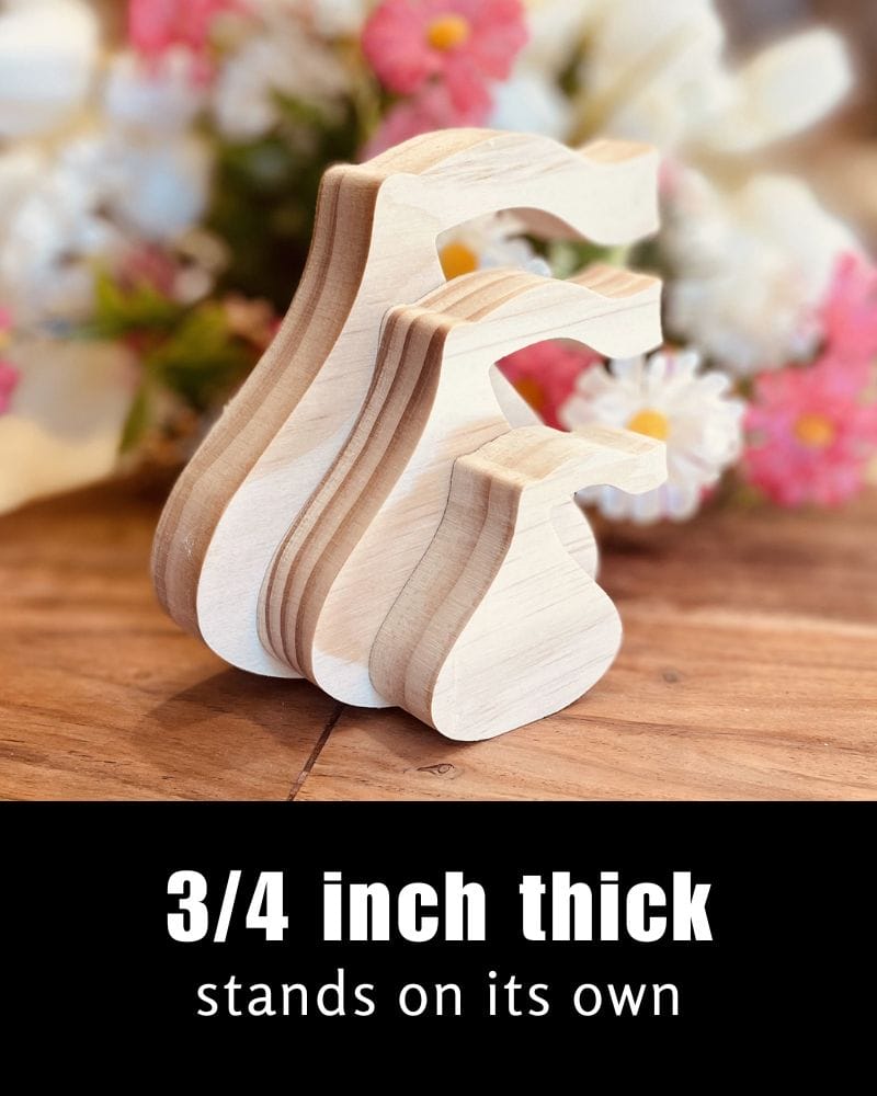 Chocolate Candy with Plume - Image 2