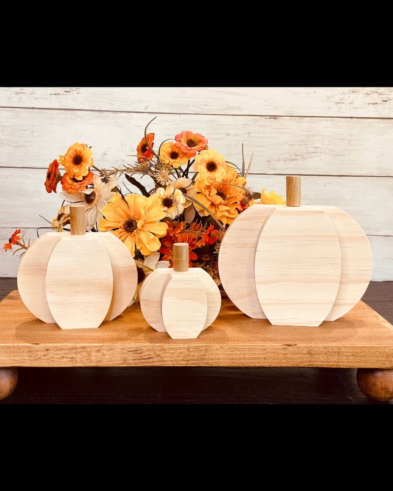 Chunky Pumpkin - Image 4