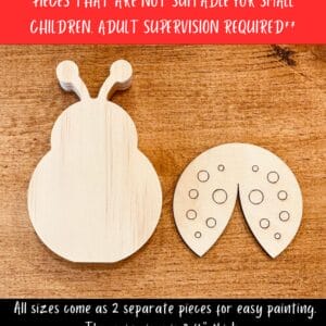 Alternative view of Ladybug