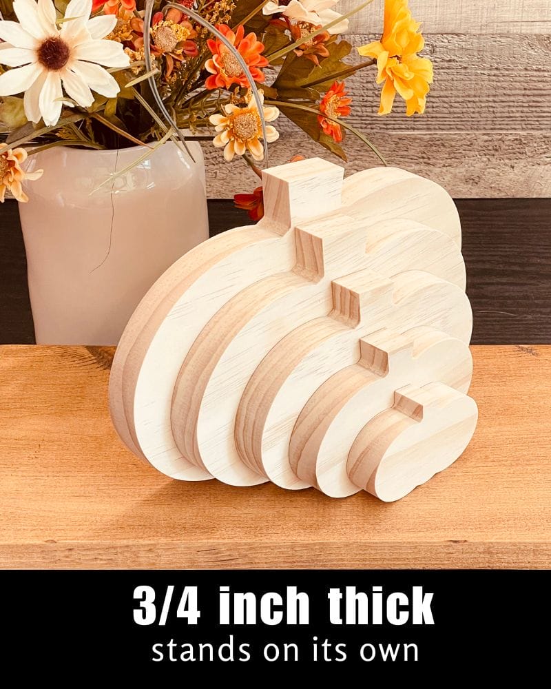 Wide Pumpkin - Image 2