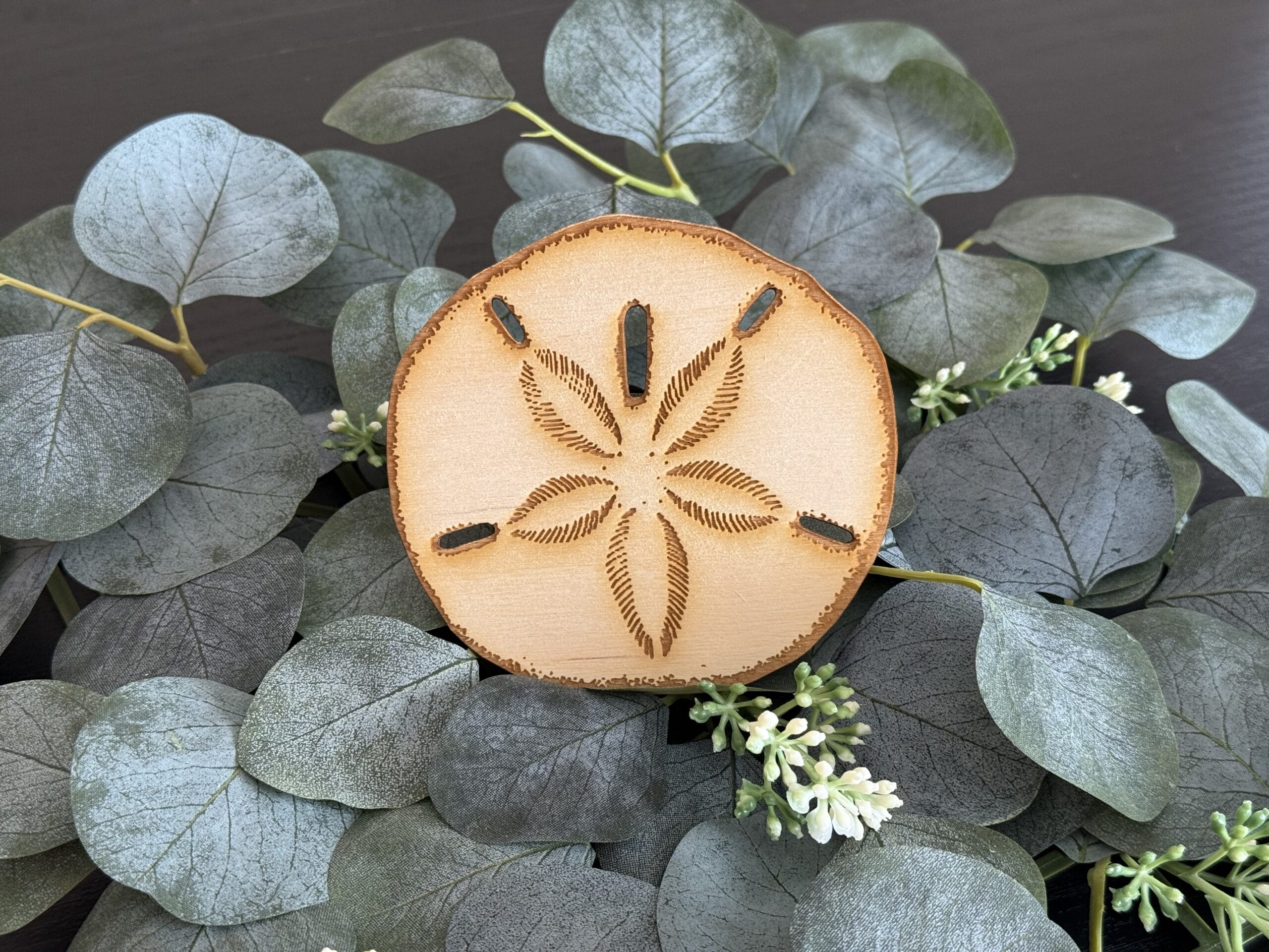 Sand Dollar with Engraved Design